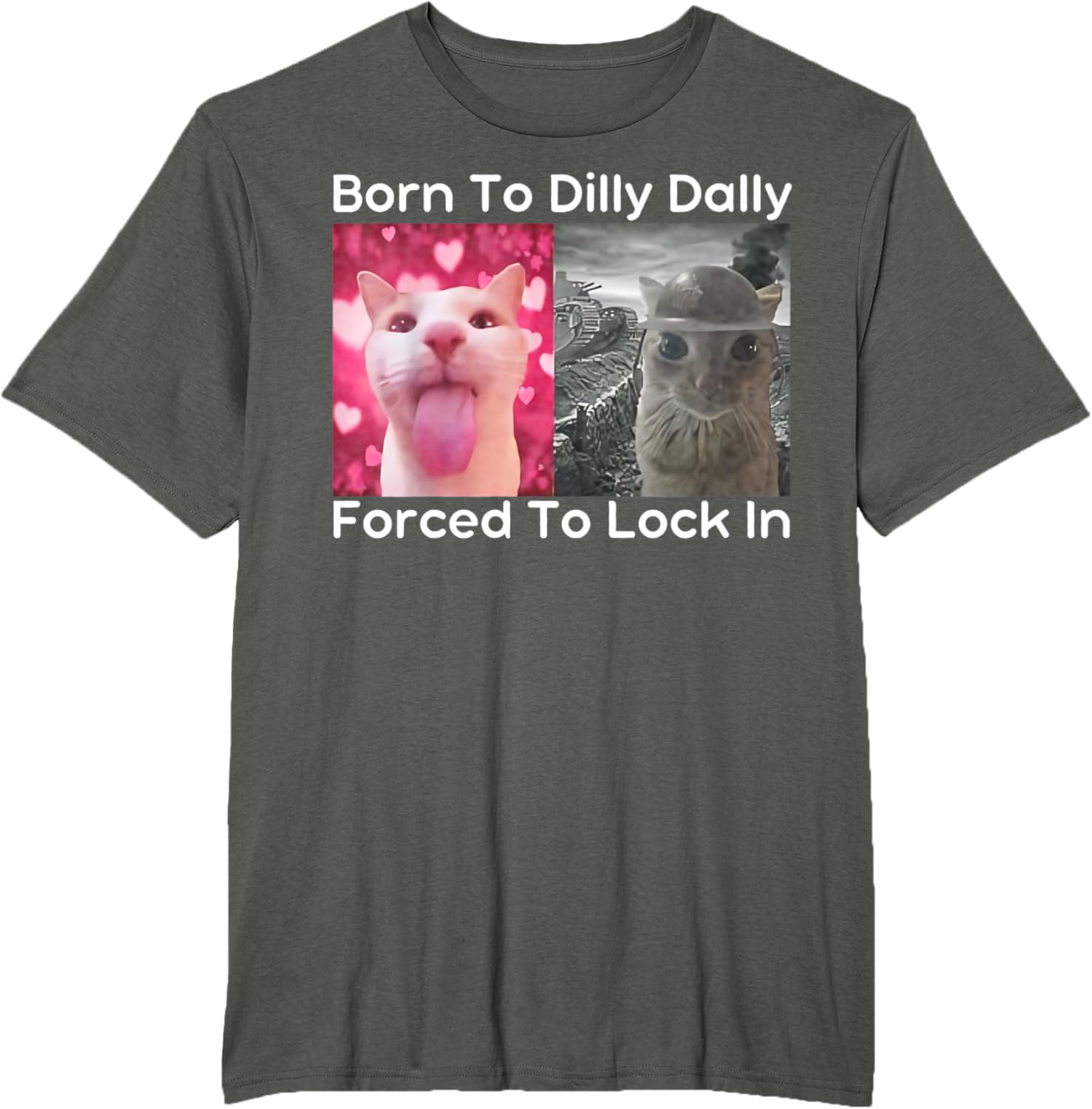 Born to Dilly Dally Forced to Lock in Cat Meme Funny Memes T-Shirt